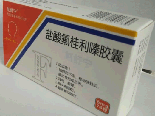 盐酸氟桂利嗪胶囊