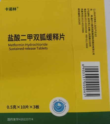 盐酸二甲双胍缓释片