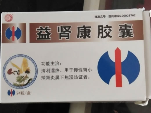 益肾康胶囊