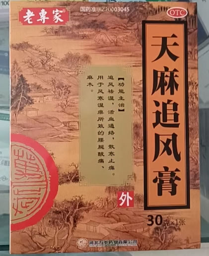 天麻追风膏