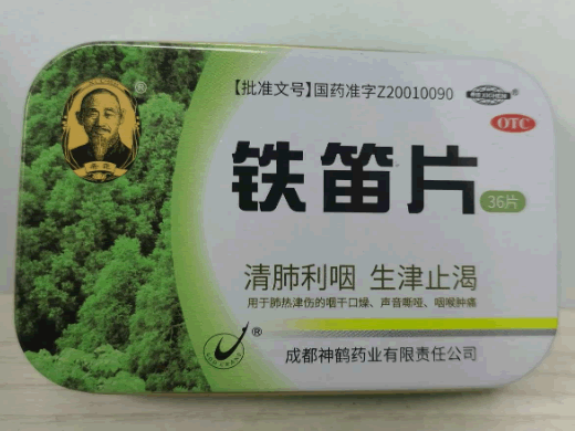 铁笛片