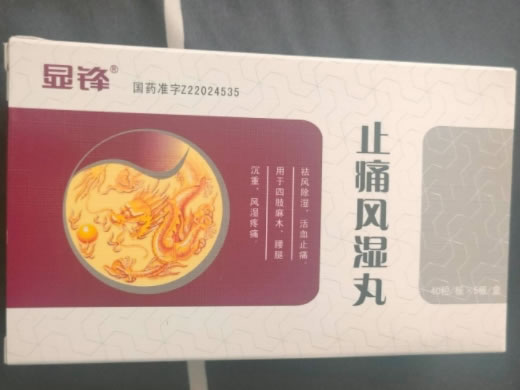 止痛风湿丸